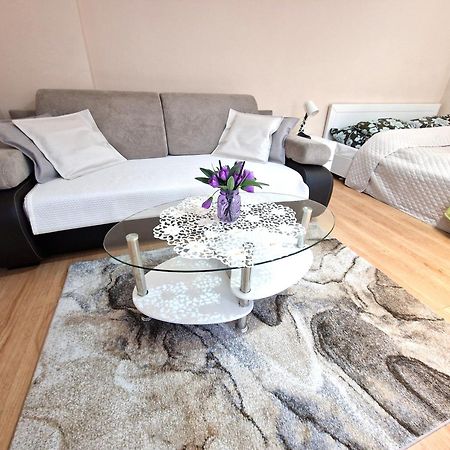 Aparthouse Apartamenty Centrum 소스노비크 외부 사진